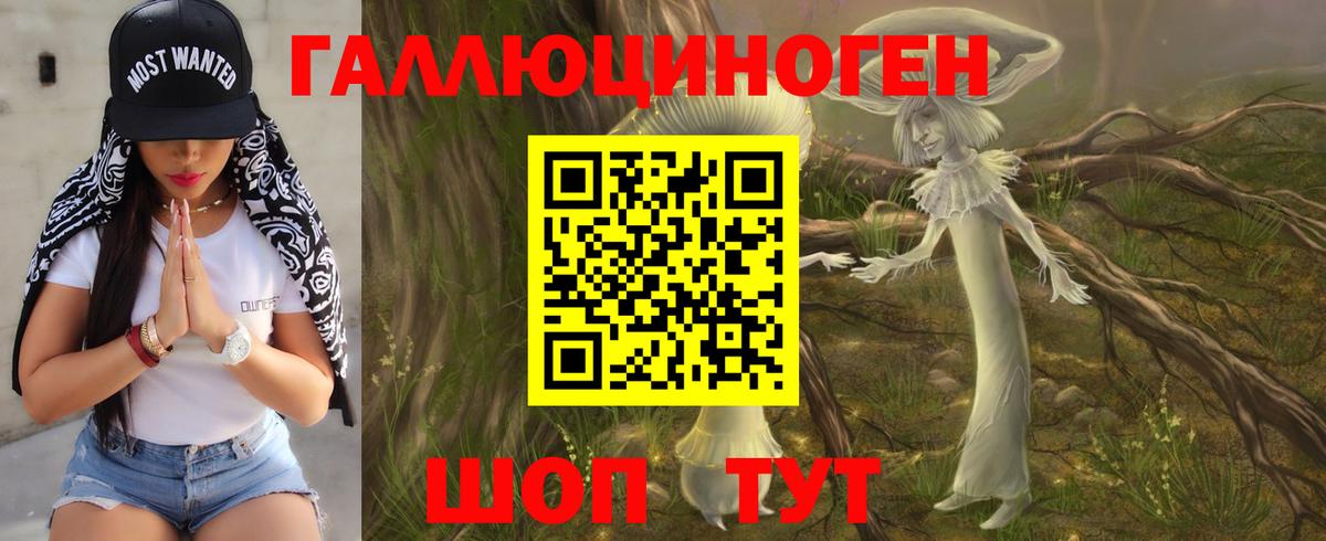 Псилоцибиновые грибы Psilocybine cubensis Усолье-Сибирское
