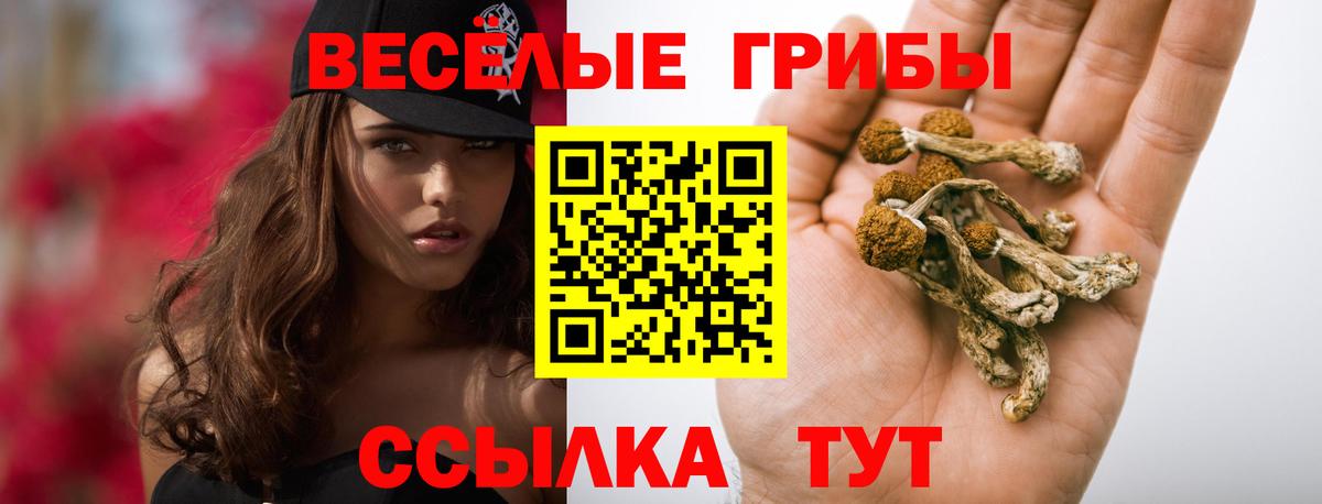 Псилоцибиновые грибы мицелий  Вход с VPN  Усолье-Сибирское 